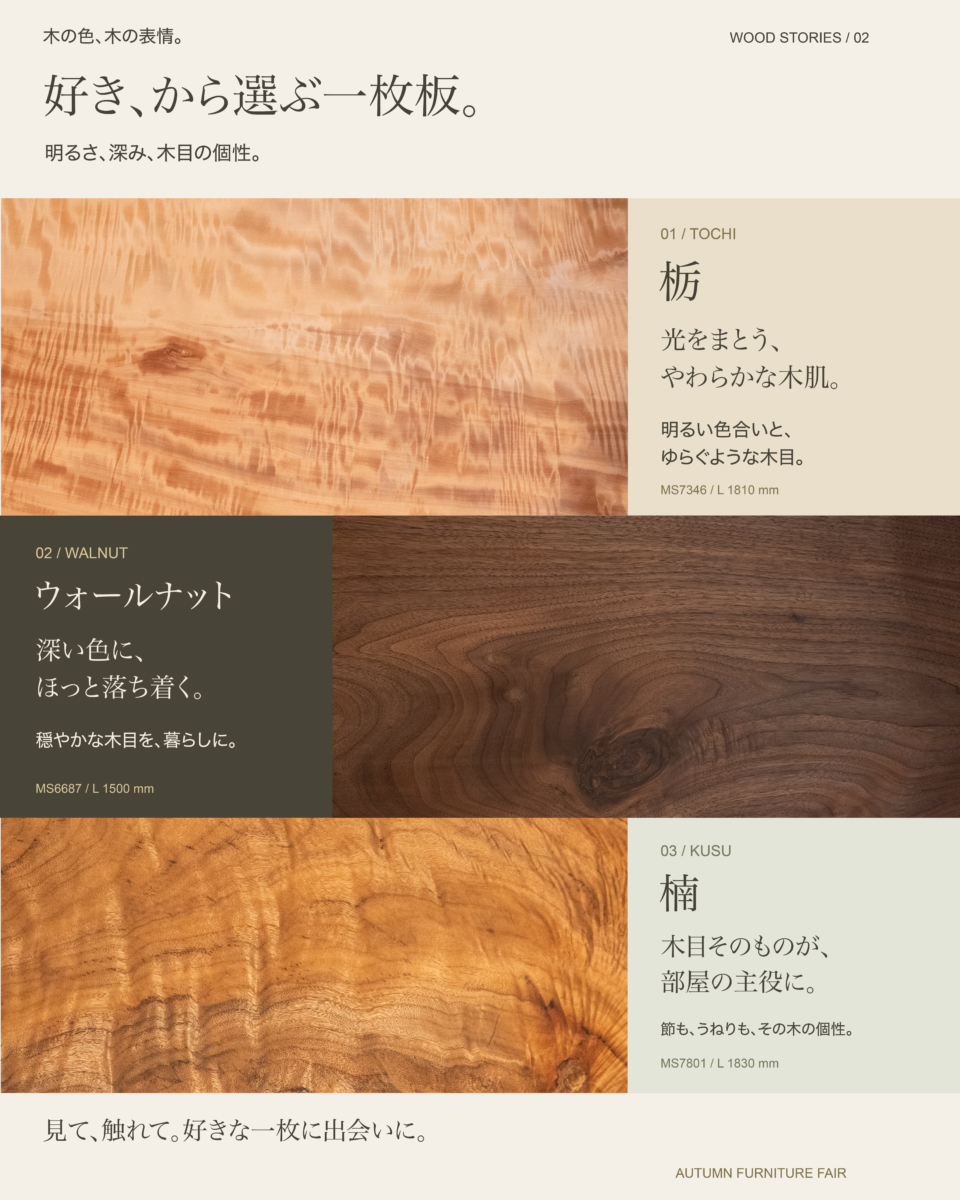 好き、から選ぶ一枚板。栃（光をまとう、やわらかな木肌）、ウォールナット（深い色に、ほっと落ち着く）、楠（木目そのものが、部屋の主役に）